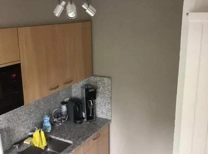 Alpehytte Mayen De L'art D Vivre *