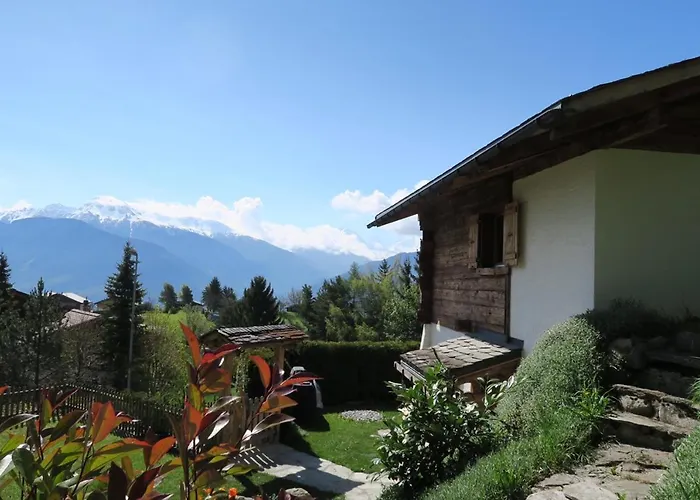 Mayen De L'art D Vivre